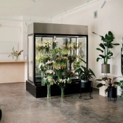 Lillestuudio müük Kalamajas (Tallinn)