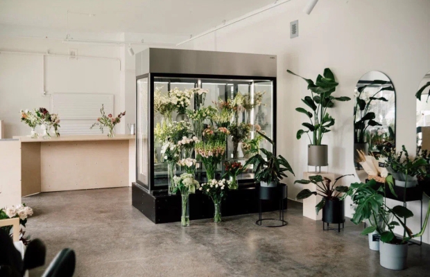 Lillestuudio müük Kalamajas (Tallinn)