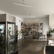 Lillestuudio müük Kalamajas (Tallinn)