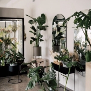 Lillestuudio müük Kalamajas (Tallinn)