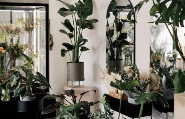 Lillestuudio müük Kalamajas (Tallinn)