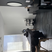 For sale - For sale the beauty space in the heart of Tallinn