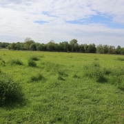 COMMERCIAL LAND FOR SALE IN THE ÄÄSMÄE PRODUCTION AREA, EXCELLENT INFRASTRUCTURE!