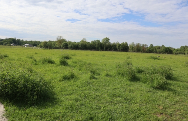 COMMERCIAL LAND FOR SALE IN THE ÄÄSMÄE PRODUCTION AREA, EXCELLENT INFRASTRUCTURE!