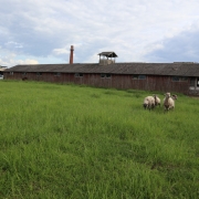 COMMERCIAL LAND FOR SALE IN THE ÄÄSMÄE PRODUCTION AREA, EXCELLENT INFRASTRUCTURE!