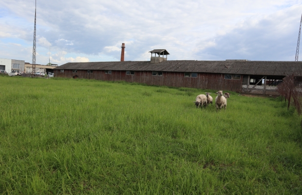 COMMERCIAL LAND FOR SALE IN THE ÄÄSMÄE PRODUCTION AREA, EXCELLENT INFRASTRUCTURE!