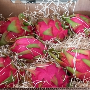 Value package of an organic product importer for sale