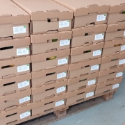 Value package of an organic product importer for sale