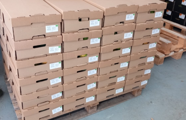 Value package of an organic product importer for sale