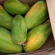 Value package of an organic product importer for sale