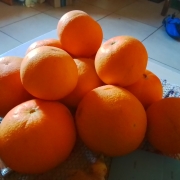 Value package of an organic product importer for sale