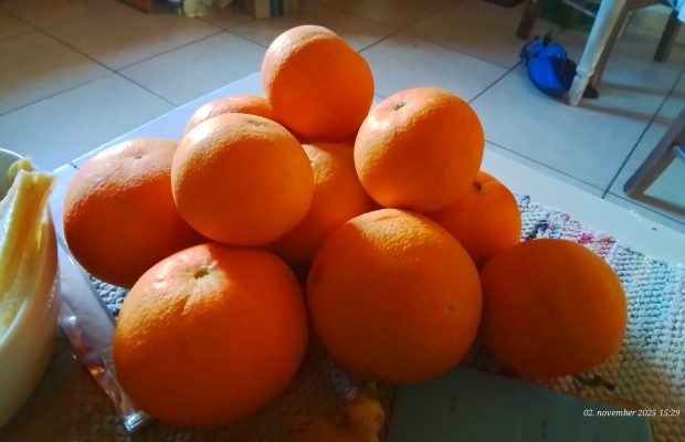 Value package of an organic product importer for sale