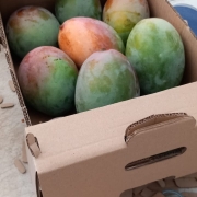 Value package of an organic product importer for sale