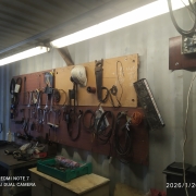 For sale high container High Cube 40´HC 12192 * 2438 * 2896 mm