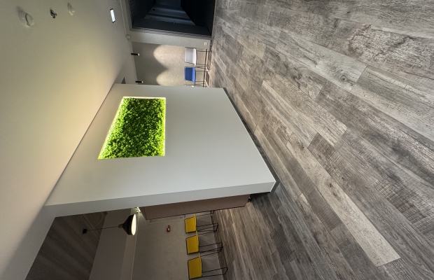 Otsin investorit – Google Ads eelarveks ilusalongile