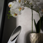 Otsin investorit – Google Ads eelarveks ilusalongile