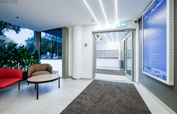 Otsin investorit – Google Ads eelarveks ilusalongile