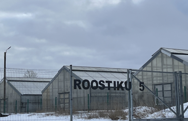 Müüa ärimaa Muugal