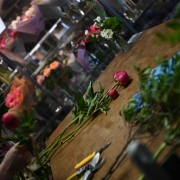 Lillestuudio ja veebipoe müük