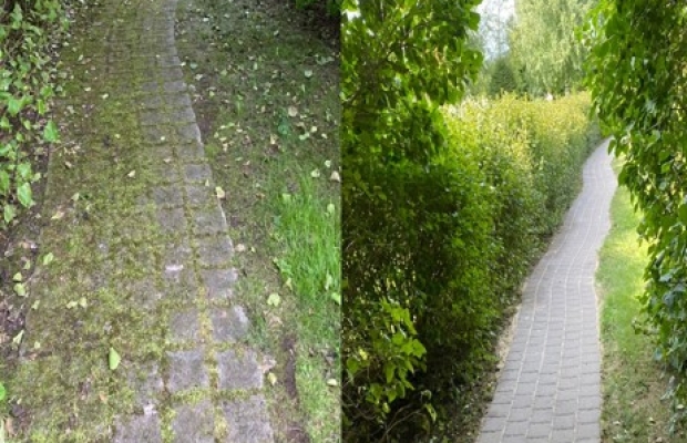 Professionaalne survepesu meetodil teostavate puhastustööde pakkuja