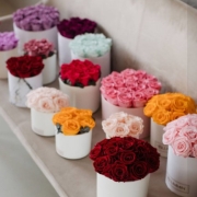 Eestis hästi tuntud kaubamärgiga kauasäilivate lillede ja sisustuskaupade müüja