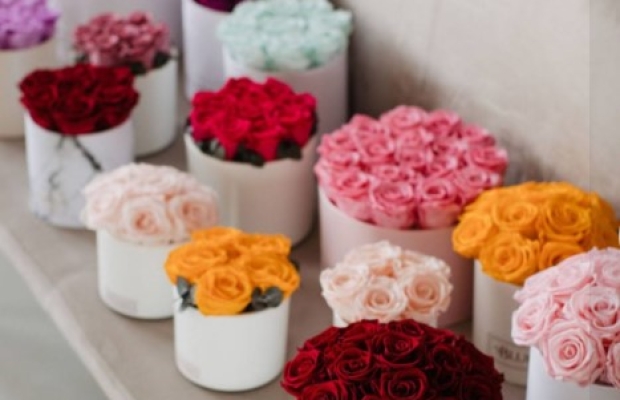 Eestis hästi tuntud kaubamärgiga kauasäilivate lillede ja sisustuskaupade müüja